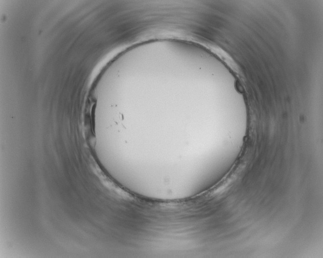 X0000069400904200606091738