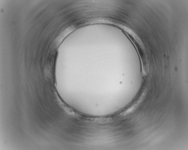 X0000069400905200606091738