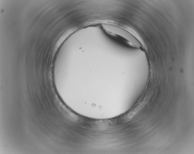 X0000069400906200606091738