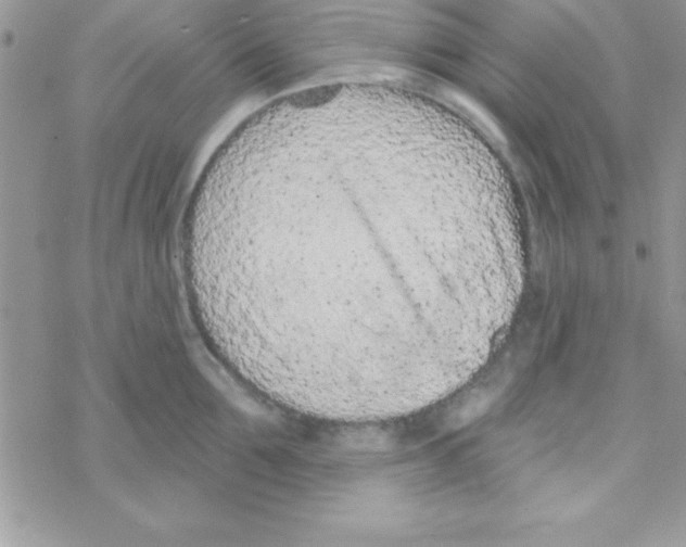 X0000069400907200606091738