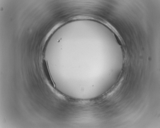 X0000069400909200606091738