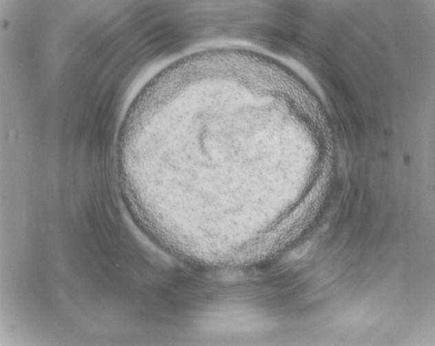 X0000069400911200606091738