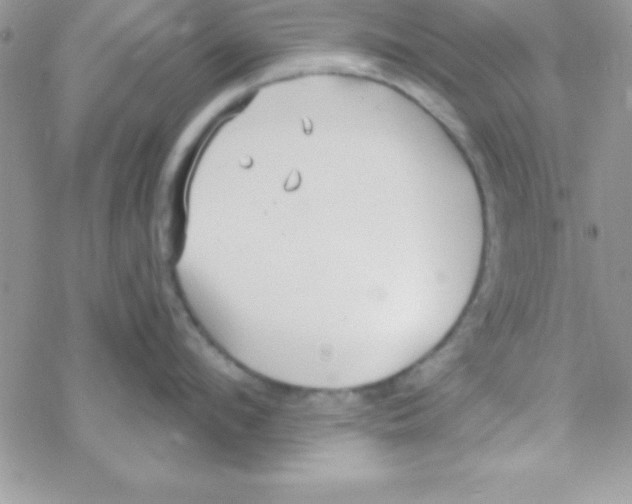 X0000069400912200606091738