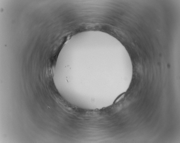 X0000069400914200606091738