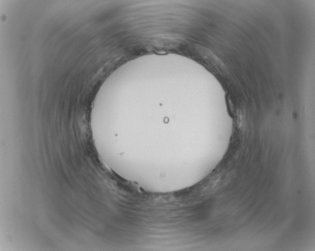 X0000069400915200606091738