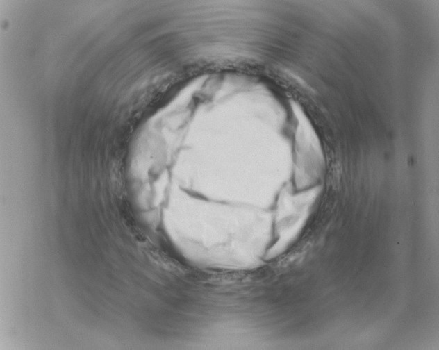 X0000069400917200606091738