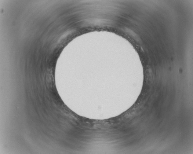 X0000069400918200606091738