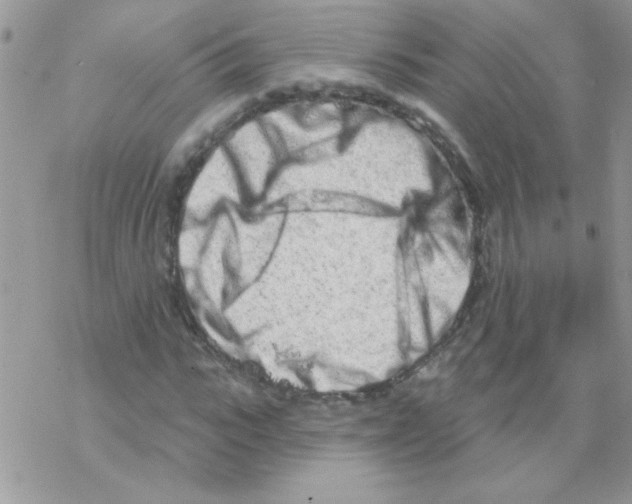 X0000069400919200606091738