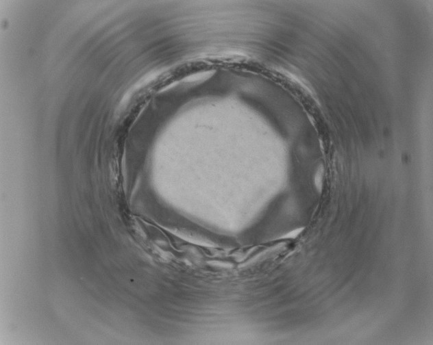 X0000069400920200606091738