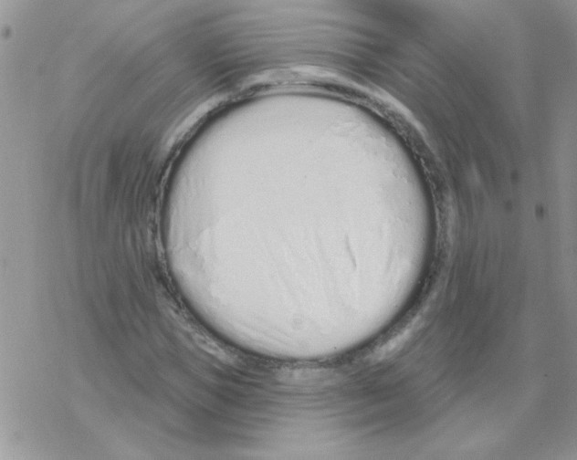 X0000069400921200606091738