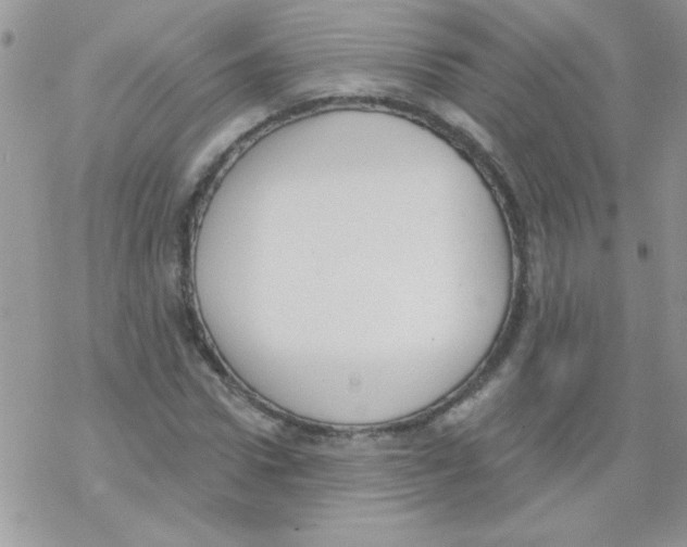 X0000069400922200606091738