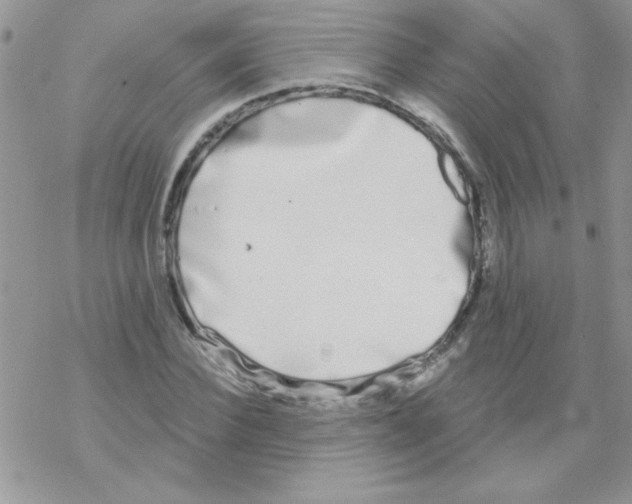 X0000069400924200606091738