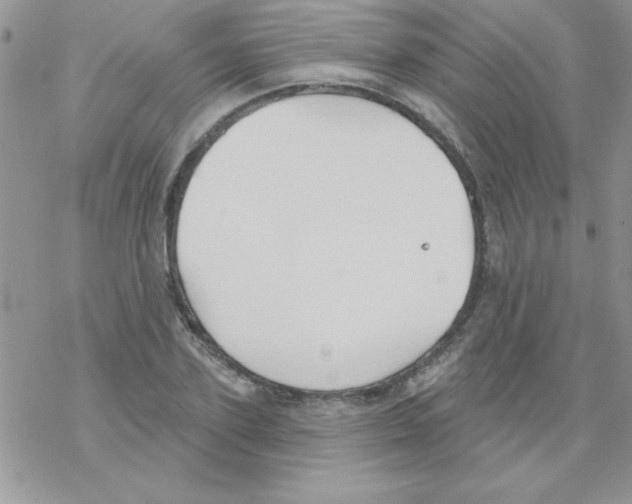 X0000069400931200606091738