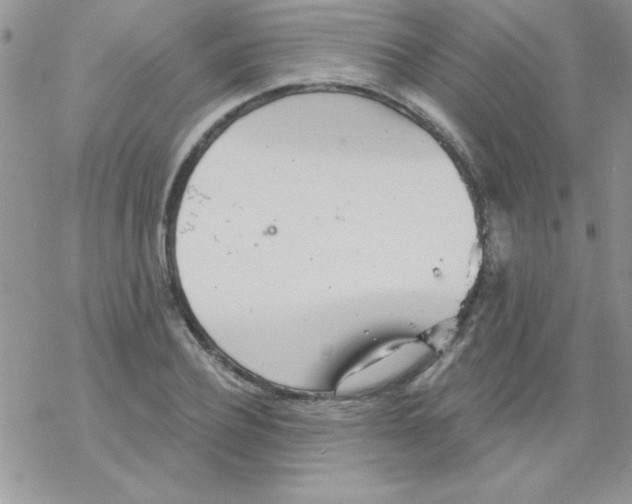 X0000069400932200606091738