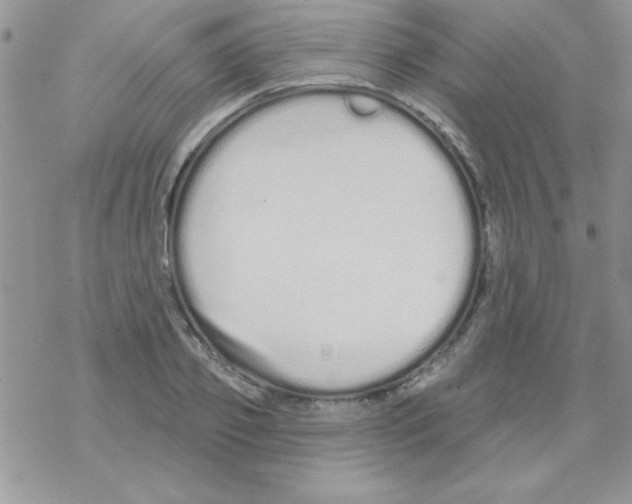 X0000069400933200606091738