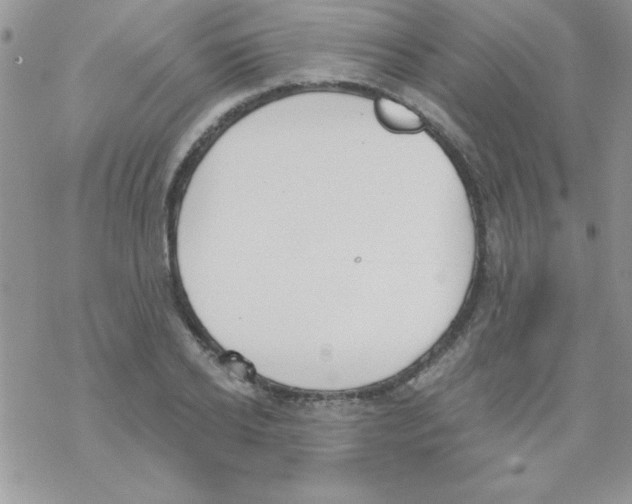 X0000069400934200606091738