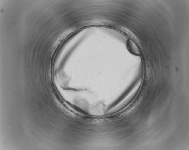 X0000069400938200606091738