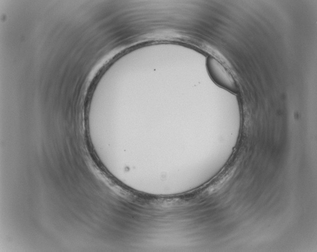 X0000069400939200606091738