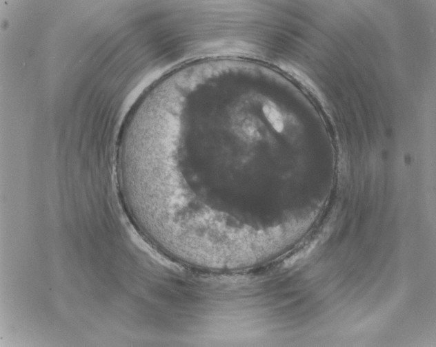 X0000069400941200606091738