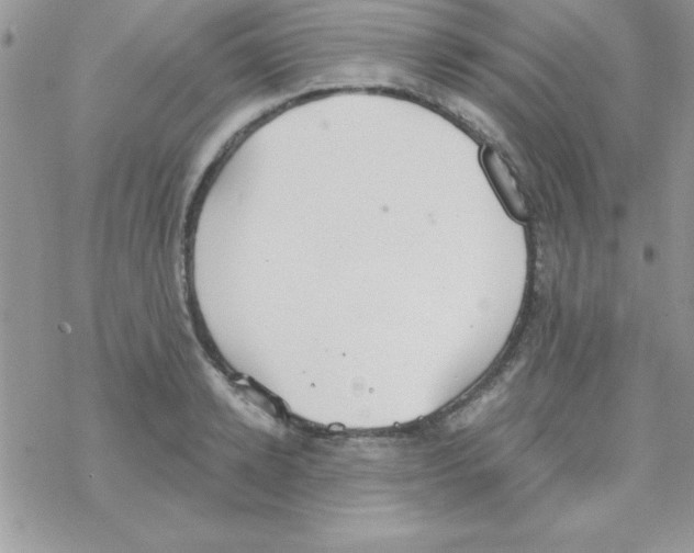 X0000069400942200606091738