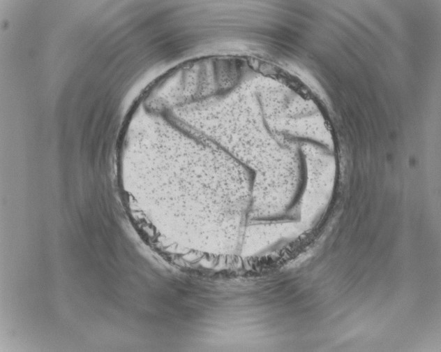 X0000069400944200606091738