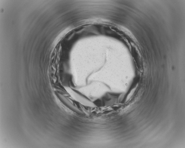 X0000069400946200606091738