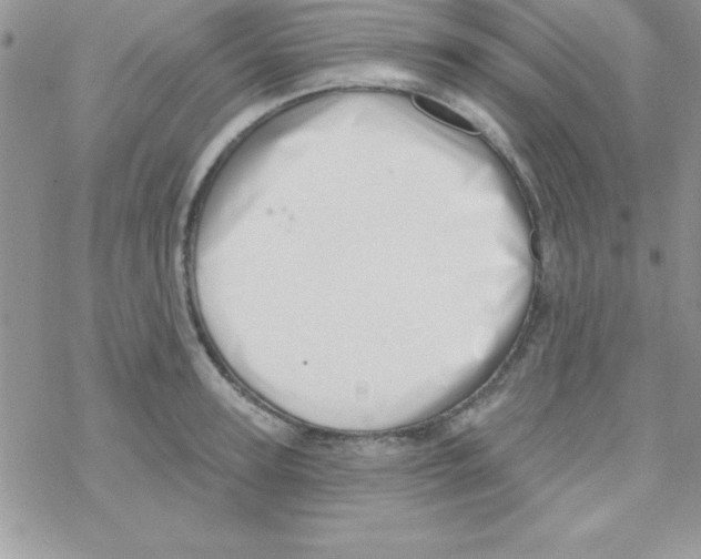 X0000069400947200606091738