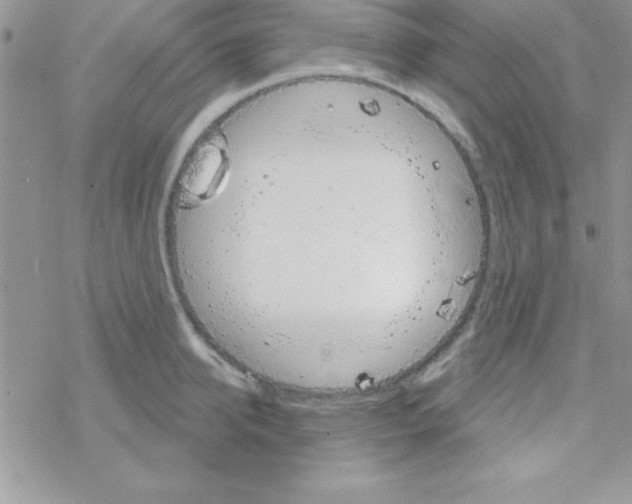 X0000069400950200606091738