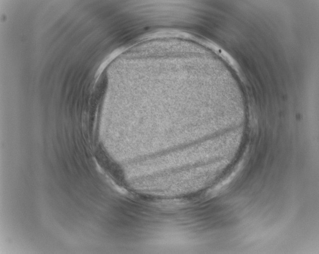 X0000069400953200606091738