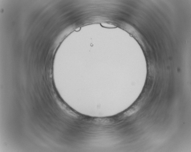 X0000069400954200606091738