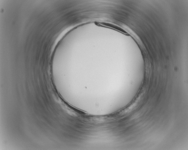 X0000069400956200606091738