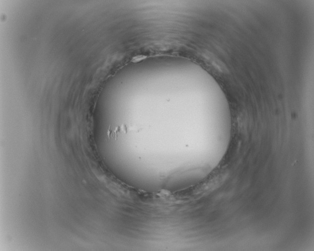 X0000069400961200606091737