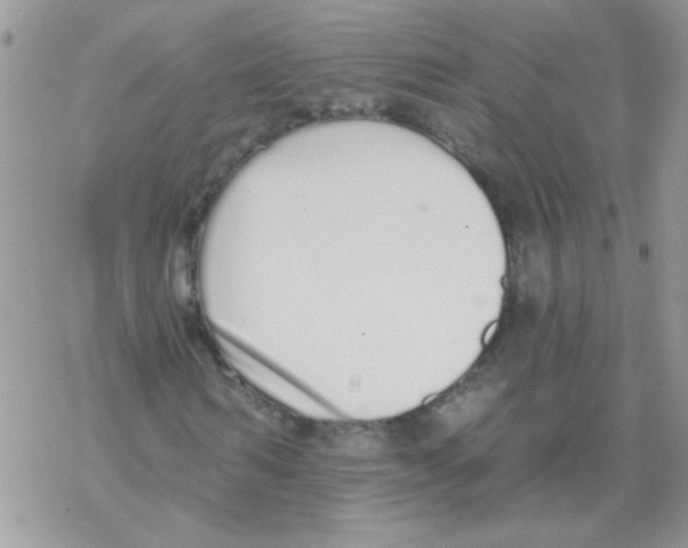 X0000069400962200606091737