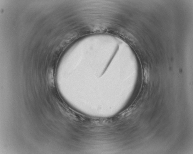 X0000069400963200606091737