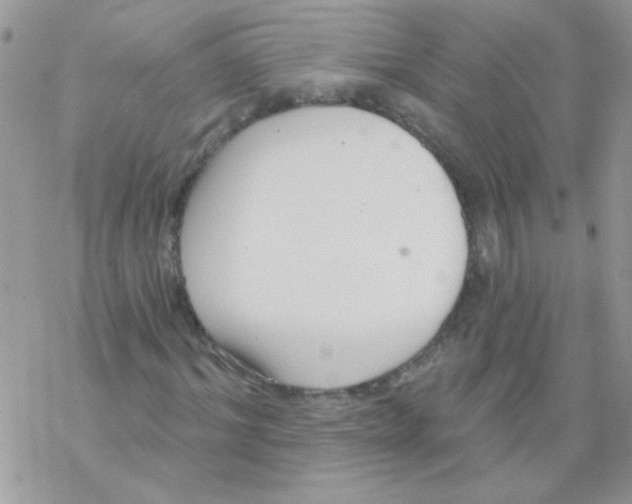 X0000069400964200606091737