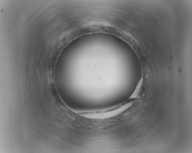 X0000069400965200606091737