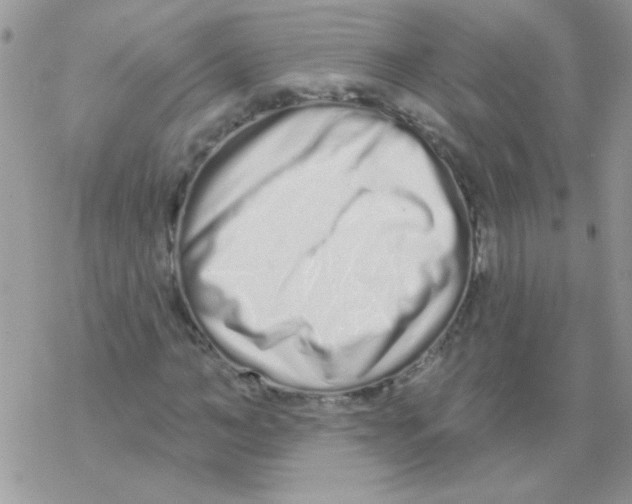 X0000069400966200606091737