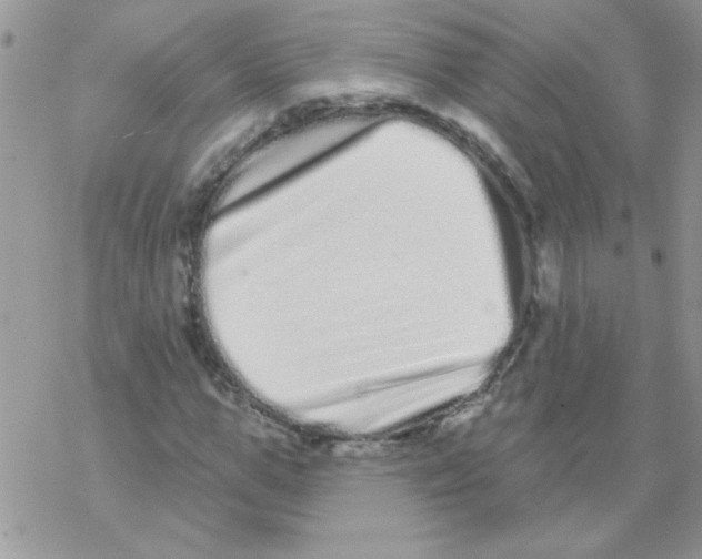 X0000069400967200606091737