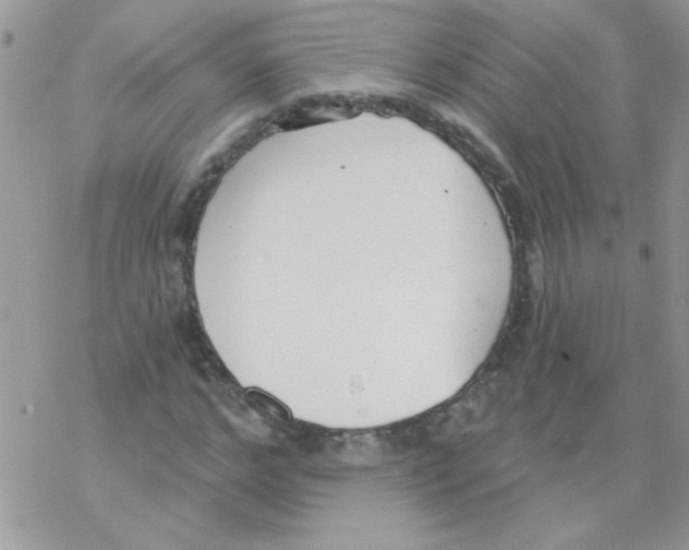 X0000069400968200606091737