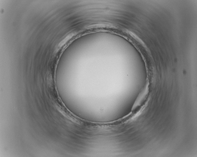 X0000069400969200606091737