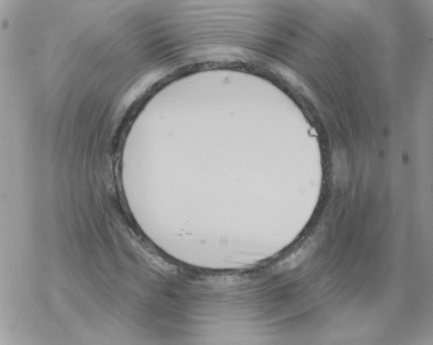 X0000069400970200606091737