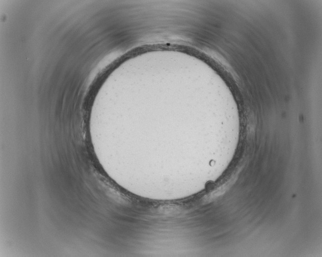 X0000069400974200606091737