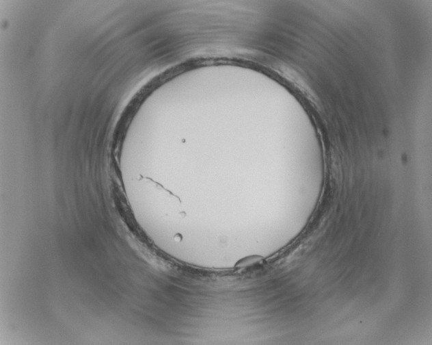 X0000069400976200606091737