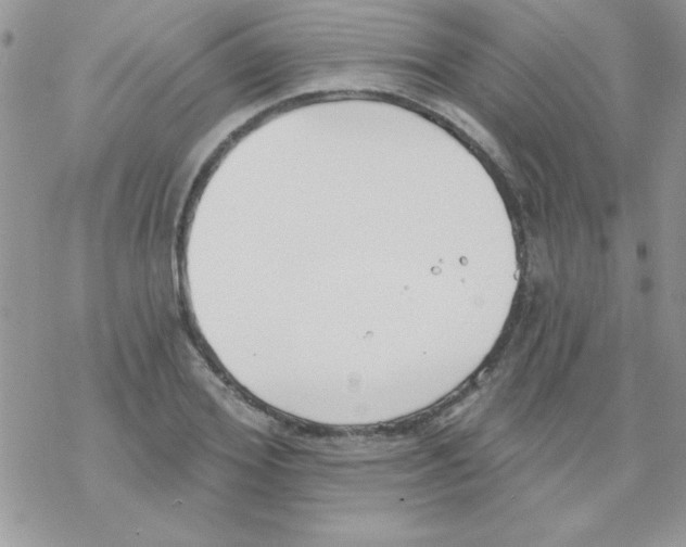 X0000069400980200606091737