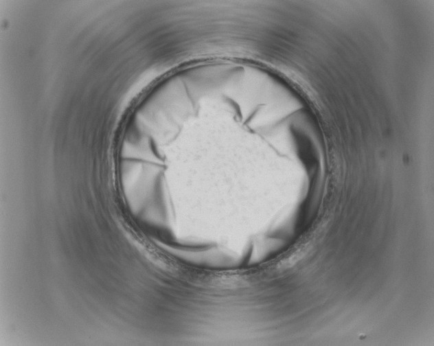 X0000069400982200606091737