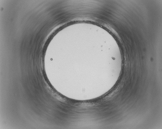 X0000069400984200606091737