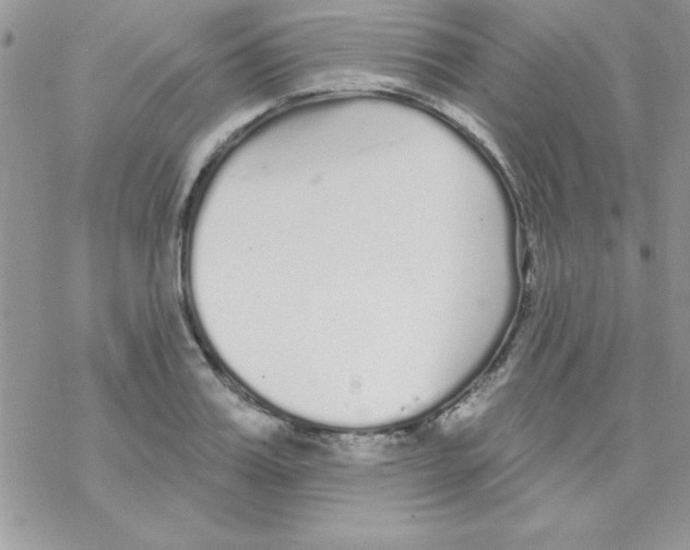 X0000069400987200606091737