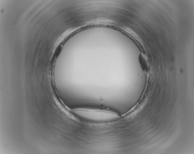 X0000069400989200606091737