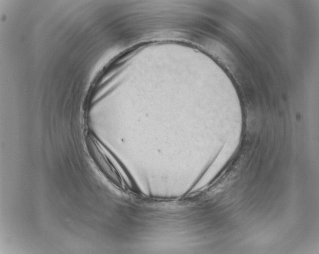 X0000069400990200606091737