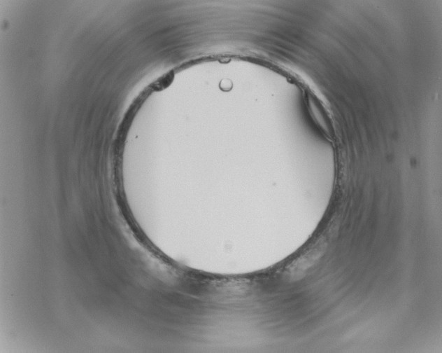 X0000069400991200606091737